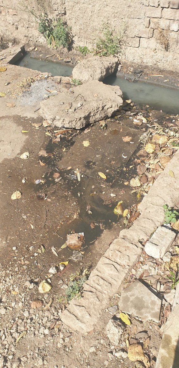 Moin66690's tweet photo. @collector_dewas @DewasLive @DewasMcorp @ChouhanShivraj @healthminmp 
Please look at this concern.
We also inform ward parshad or Ward Metar but didn't get any responce.
cont-9039066690 https://t.co/wGG7A5aDyU