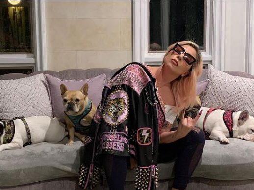 Cops probe possible gang connection in shooting of Lady Gaga's dog walker Report