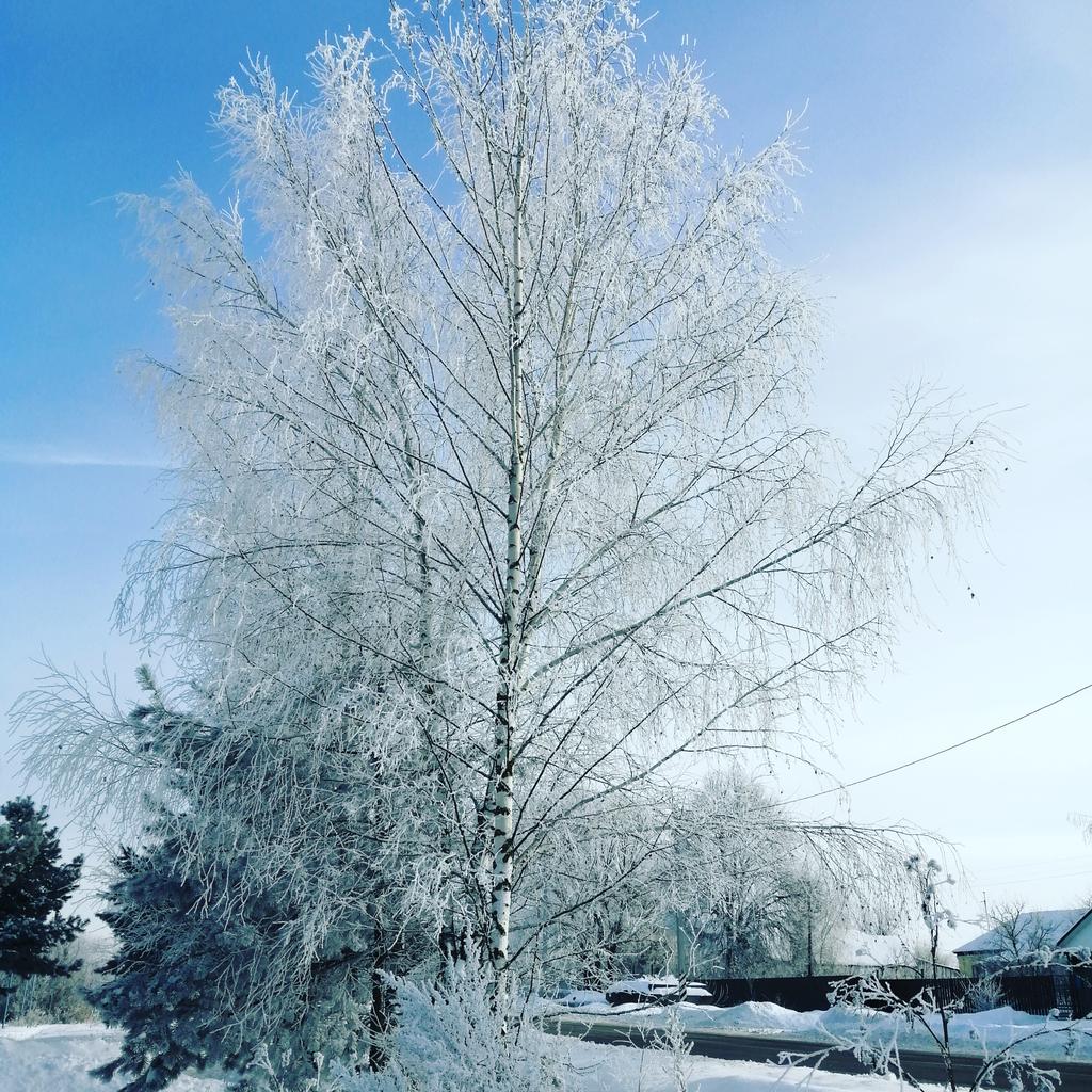 VerMat23's tweet image. Доброе утро! ❄️🌞❄️