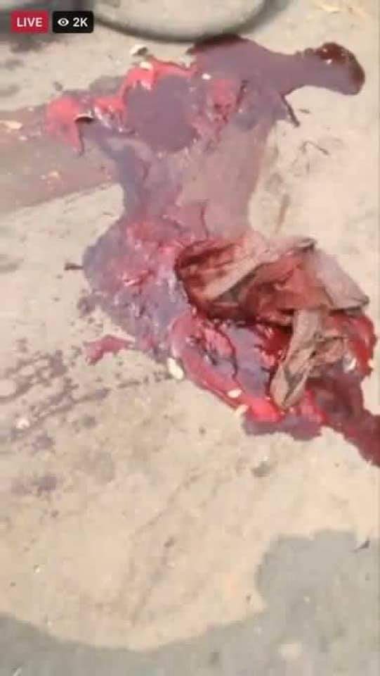 TW//blood,death
Happening now in MYAING ‼️
Terrorists slaughtered the strike with tears gas and real bullets in MYAING. 
Now a lot are injured and 6 people already died. 
1 in 6 deaths was shot by sniper and died on spot. 

STOP ONSLAUGHT
#WhatsHappeningInMyanmar 
#Mar11Coup