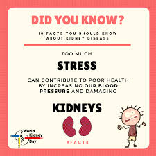 hospaz's tweet photo. We join the world in commemorating #worldkidneyday2021 & urge you to choose a health lifestyle
Kidneys filter blood 400 times a day!
Be sure to quench your thirst & your filters will be thanking you first
#FiltertheFilters
@APCAssociation @whpca @DrLuyirika @nkf @JointedHands https://t.co/TPtMp2IAcT