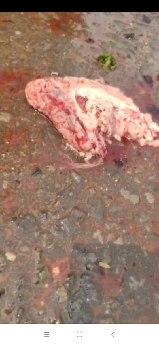 KyalEain's tweet photo. Myaing is a small town in Magway Region. Why is it so cruel?
#Mar11Coup
#SaveMyanmar 
#WhatHappeningInMyanmar https://t.co/Zl8NsL25Bz