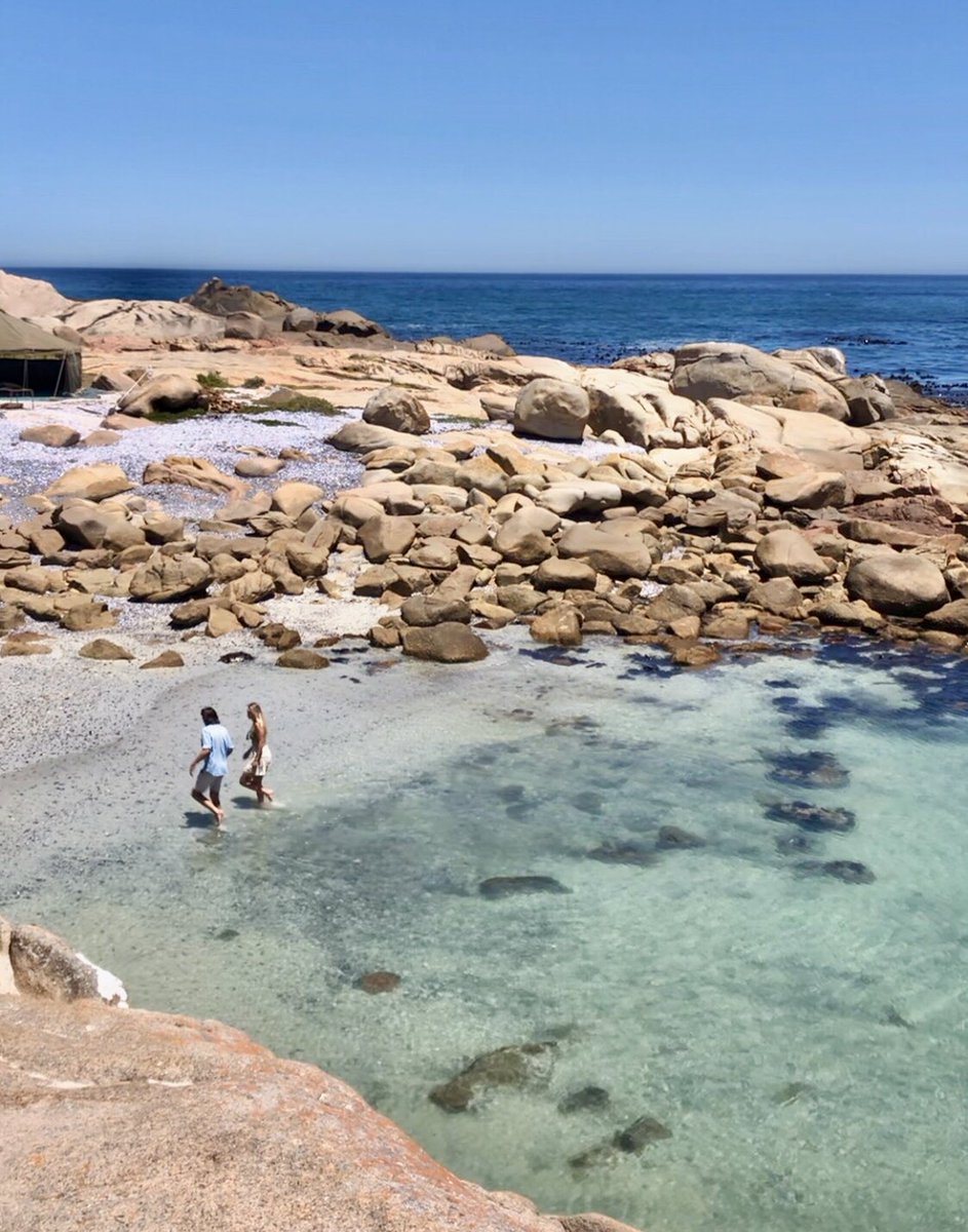 Farirai Sanyika tweet media