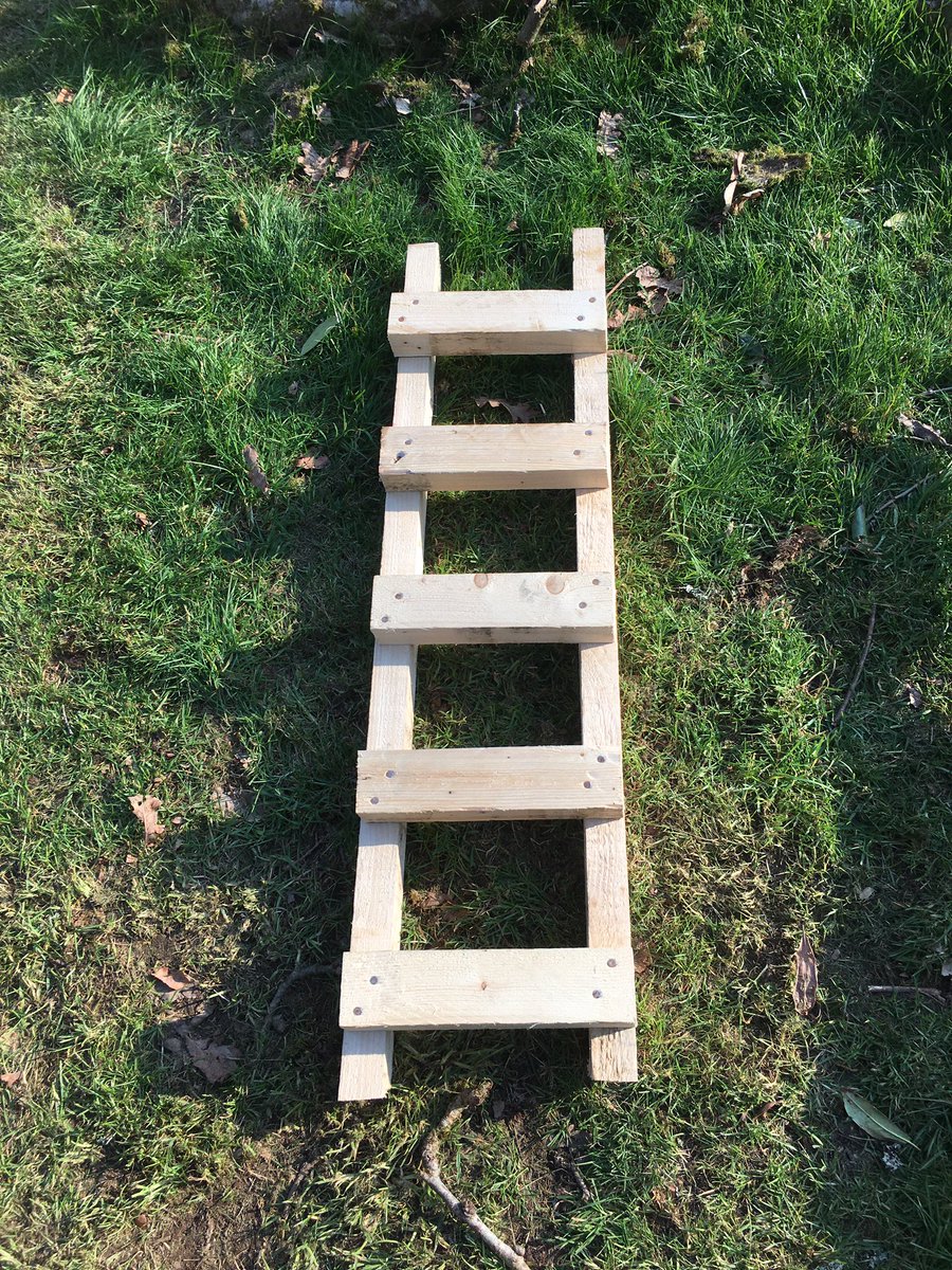 TreeReuse's tweet image. #Treehouse  construction begins
we need a ladder to get up to the first platform 
#Devon 
 #BritainsOceanCity 
#Plymouth 🇬🇧
All wood &amp;amp; nails are recycled #Reduce 
#Reuse 
#Recycle 
#ReduceReuseRecycle