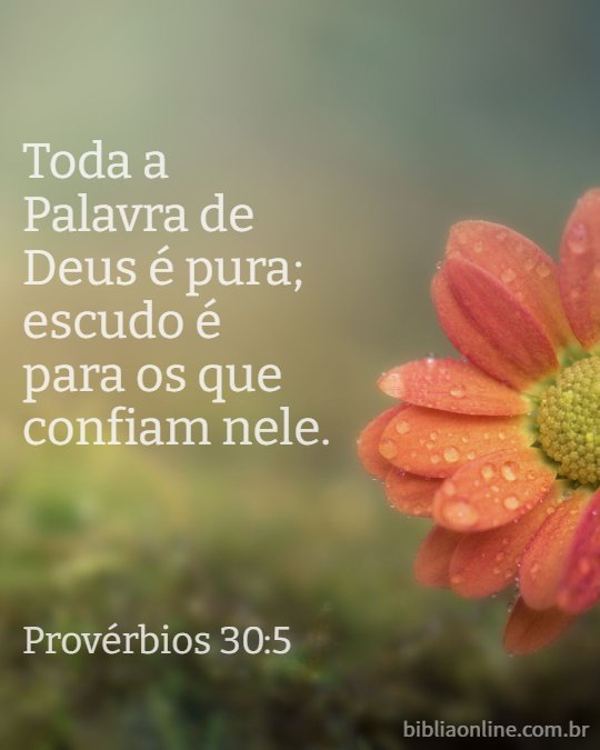 lisa_vander's tweet photo. https://t.co/Mi0tnSxRzG