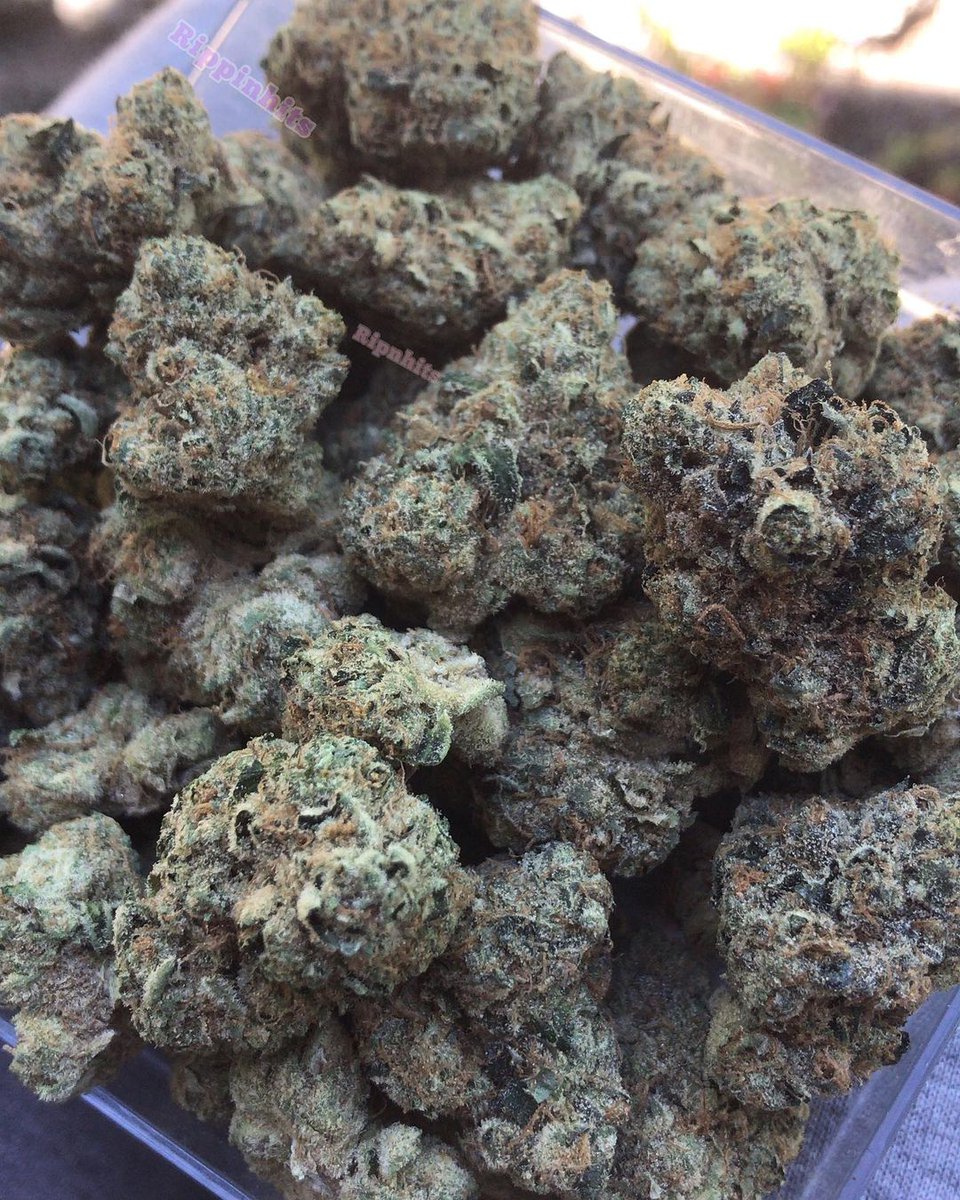 bigscarr420's tweet photo. Top shelf available https://t.co/VTY7yboyHP
