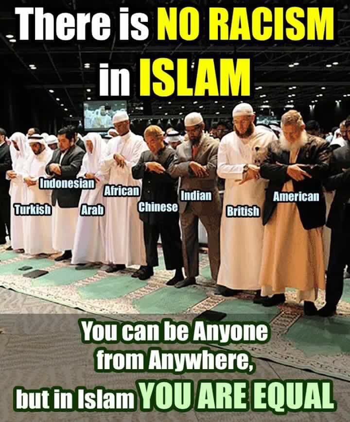 Religion of Peace tweet media