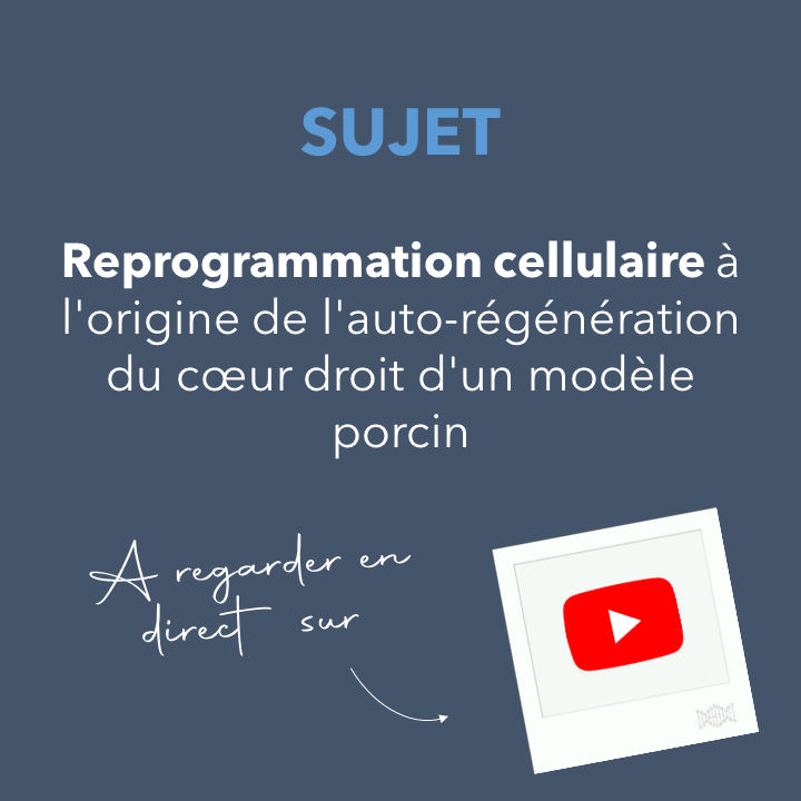 GCTI_France's tweet photo. WEBINAR | La @SFTCG organise une série de webinars ! 🧬

RDV demain, vendredi 12.03 à 14h sur YouTube
➡️ https://t.co/WDNdfgYjQO

Sujet du jour : Reprogrammation cellulaire à l'origine de l'auto-régénération du coeur droit d'un modèle porcin, par Michel Pucéat, Univ de Marseille https://t.co/ZDmFkzuWHu