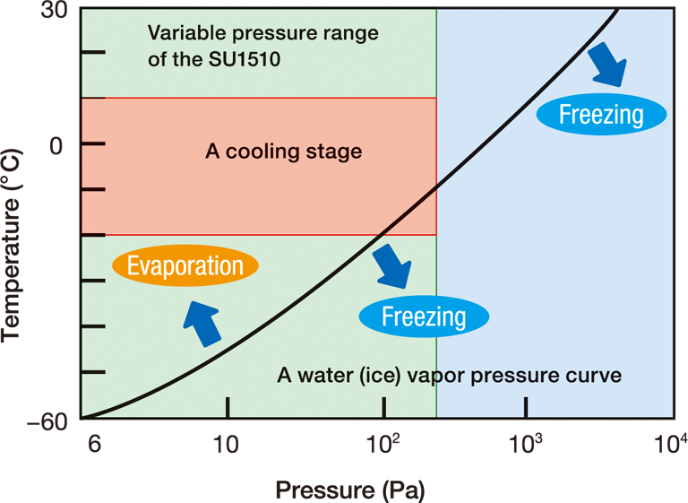 Hitachi_EM's tweet image. Happy National Plant a Flower Day !
(March 12th)
#ElectronMicroscope #electronmicroscopy #NationalPlantAFlowerDay

SEM of Hydrangea petal (hydrated and uncoated) with and without cooling