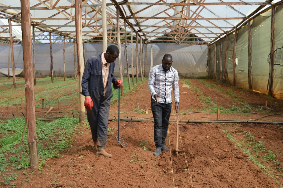 cegoiagri's tweet photo. We aim to support new infrastructure projects that give farmers more options to grow ,process and distribute their food locally and internationally. Every farmer needs access to these facilities and equipment to harvest, store, process, and sell their products.
@rodgers_kirwa https://t.co/dTqHATbIYa