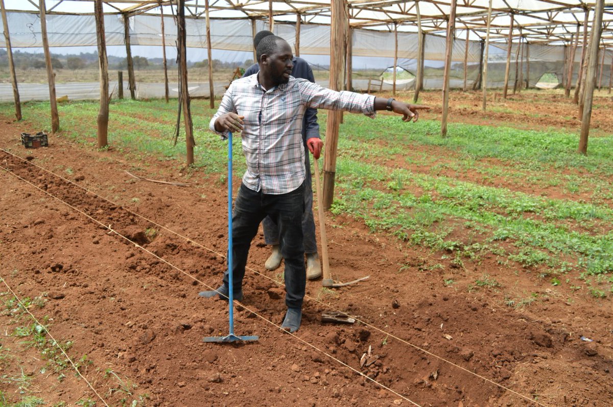 cegoiagri's tweet photo. We aim to support new infrastructure projects that give farmers more options to grow ,process and distribute their food locally and internationally. Every farmer needs access to these facilities and equipment to harvest, store, process, and sell their products.
@rodgers_kirwa https://t.co/dTqHATbIYa
