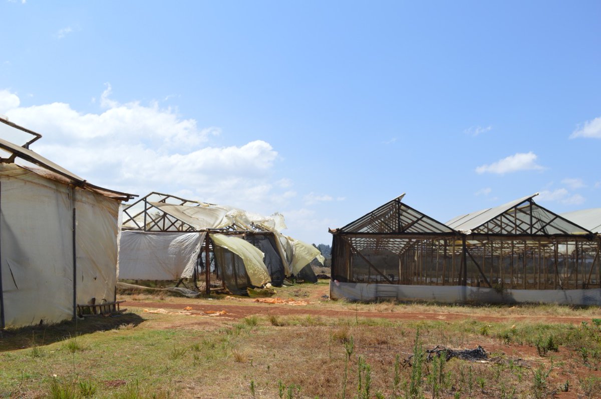 cegoiagri's tweet photo. We aim to support new infrastructure projects that give farmers more options to grow ,process and distribute their food locally and internationally. Every farmer needs access to these facilities and equipment to harvest, store, process, and sell their products.
@rodgers_kirwa https://t.co/dTqHATbIYa