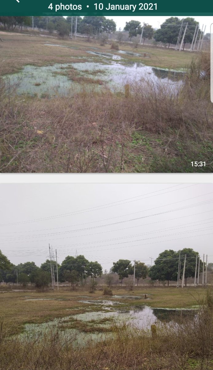 InderpalSinghD2's tweet photo. @capt_amarinder sir, pl don't neglect PACL mega housing project approved by you in 2006. We all at sector 100 &amp; 104 Mohali are still hopeful. @colsaini1 @RoniNanda1 @Harinderpal_s @BalbirSinghMLA @dcmohali sewage water has started flooding the sector roads and empty spaces. https://t.co/0tNK2ZsPN5