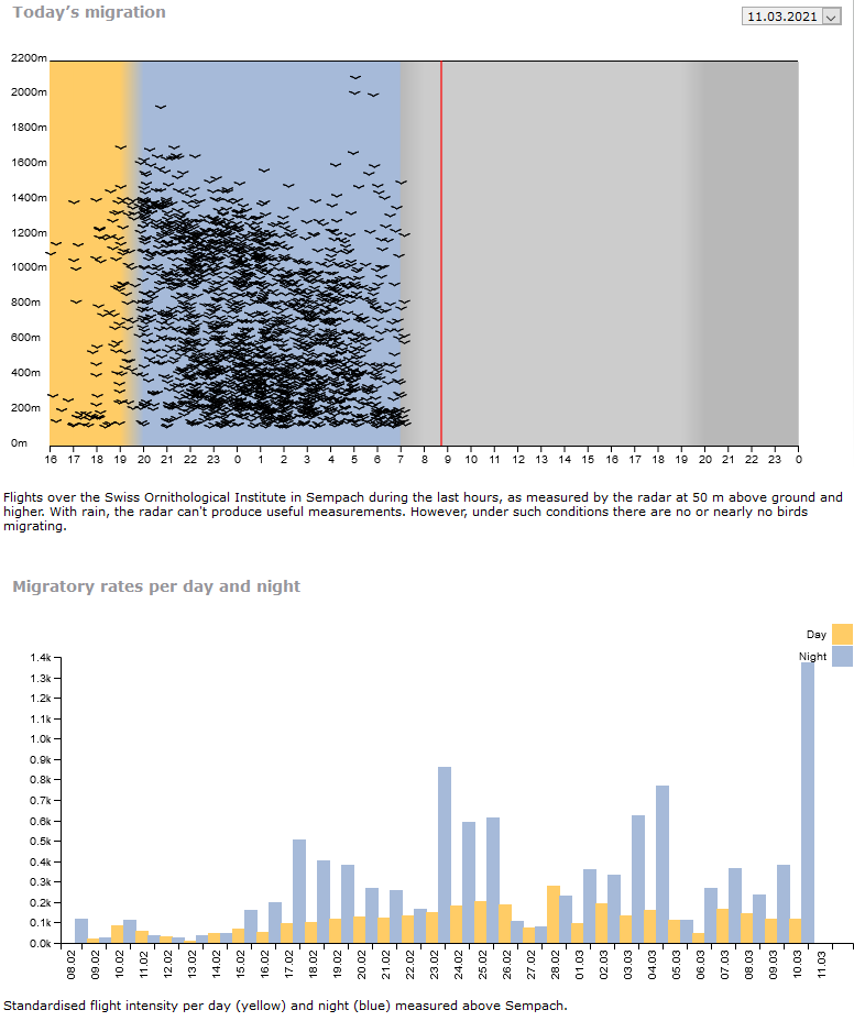 Baptiste Schmid (@baptischmi) on Twitter photo 🐦spring migration now seriously ongoing - after a quite start in February - last🌜on 📡in #Sempach <a href="/Vogelwarte_scie/">Vogelwarte_Science</a> #radar #aeroecology ornitho.ch/index.php?m_id… 🐦spring migration now seriously ongoing - after a quite start in February - last🌜on 📡in #Sempach <a href="/Vogelwarte_scie/">Vogelwarte_Science</a> #radar #aeroecology ornitho.ch/index.php?m_id…