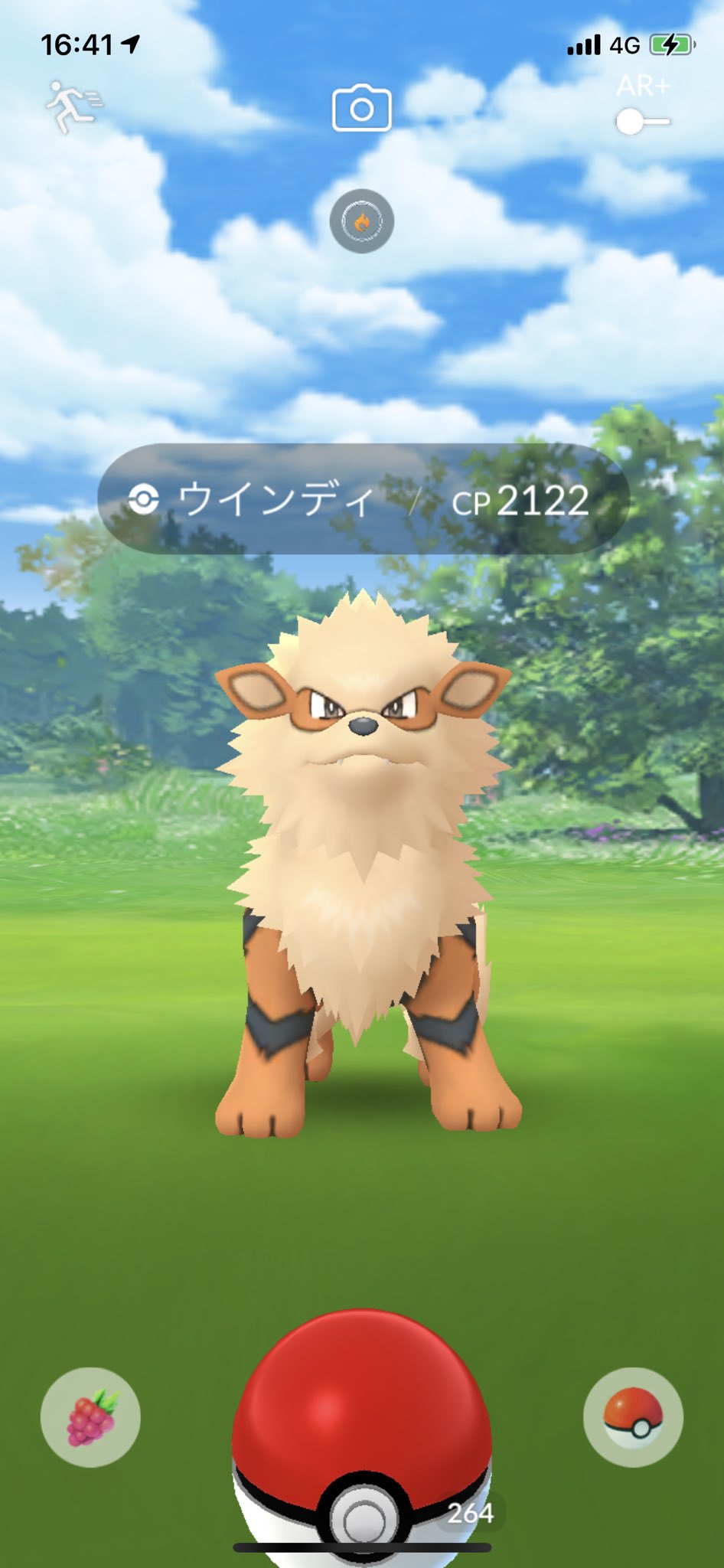 どれあむ W 野生のウインディ そういやウインディが野生 での色違いが出るようになってるらしいね なんでかなと思ったけどたぶんレジェンドシーズンだからでんせつポケモンのウインディが特別枠で対象になったのかも T Co Vdetn5lb0b