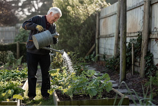 WWFSouthAfrica's tweet photo. Do you know someone who grows their own vegetables? A friend who is always inviting you to beach cleanups? A family member who is passionate about saving water? Follow the link to nominate them as a #LocalNatureHero & stand a chance to win.
https://t.co/RansXMZNVl
#Connect2Earth https://t.co/j2PlloUejX