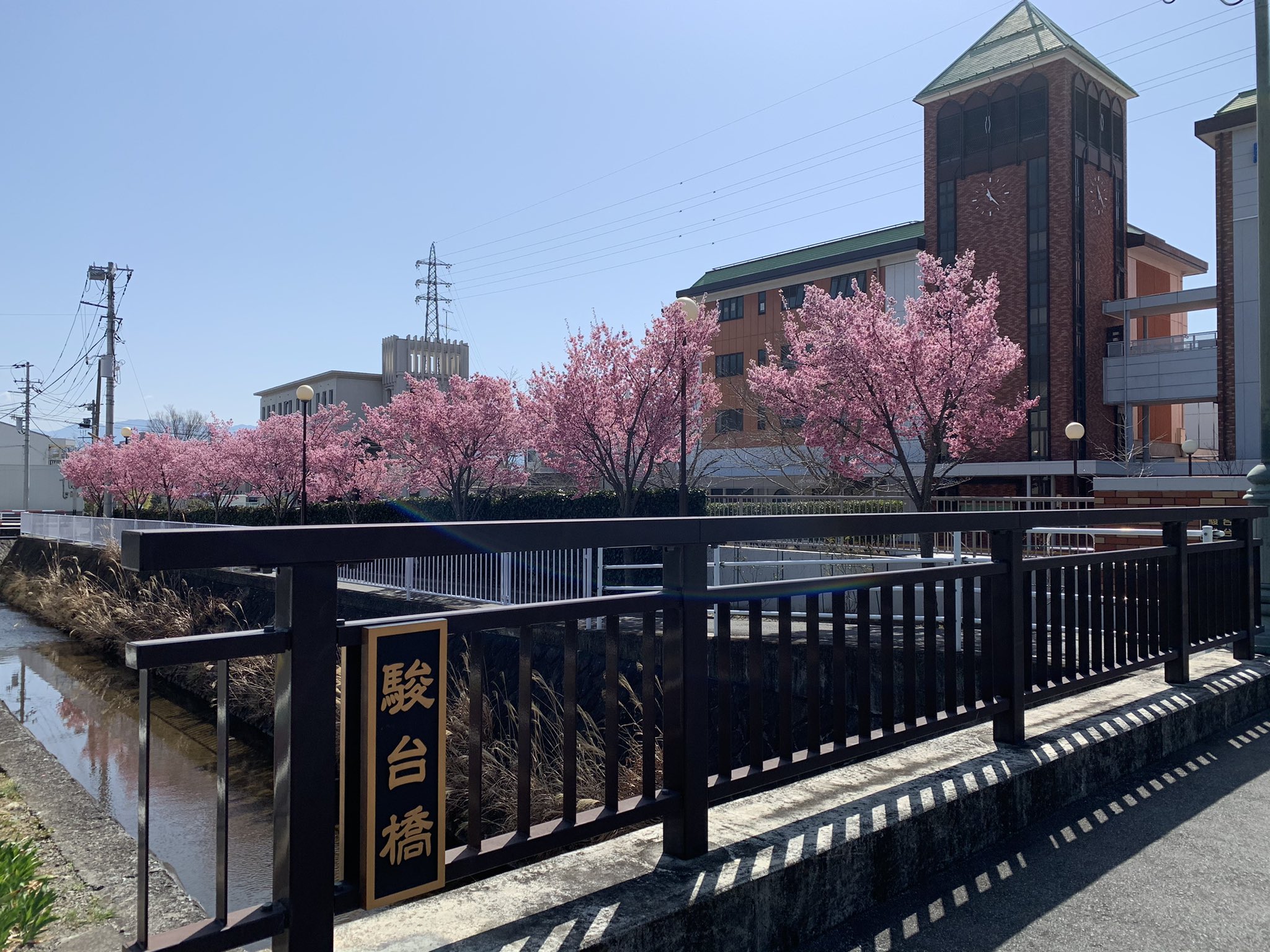 甲府市観光課 公式 甲府では桜や菜の花が咲き始めました 今年は暖かい日が続いているため 来週末頃から桜が楽しめそうです 甲府 桜 こうふの桜 春 菜の花 信玄公像 舞鶴城公園 T Co Nwylafdars 甲府市観光課 公式 甲府では桜や菜の花が咲き始めました 今年は暖かい日が続いているため 来週末頃から桜が楽しめそうです 甲府 桜 こうふの桜 春 菜の花 信玄公像 舞鶴城公園 T Co Nwylafdars