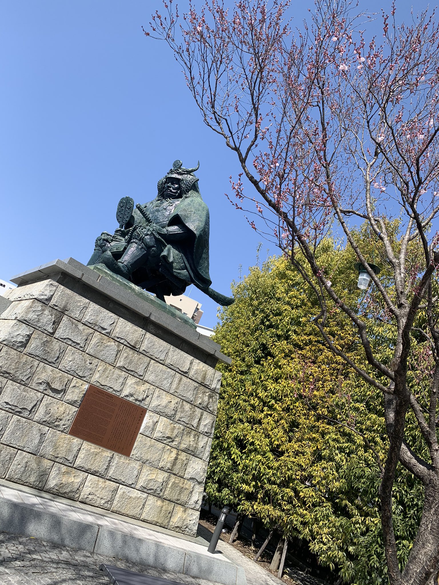 甲府市観光課 公式 甲府では桜や菜の花が咲き始めました 今年は暖かい日が続いているため 来週末頃から桜が楽しめそうです 甲府 桜 こうふの桜 春 菜の花 信玄公像 舞鶴城公園 T Co Nwylafdars 甲府市観光課 公式 甲府では桜や菜の花が咲き始めました 今年は暖かい日が続いているため 来週末頃から桜が楽しめそうです 甲府 桜 こうふの桜 春 菜の花 信玄公像 舞鶴城公園 T Co Nwylafdars