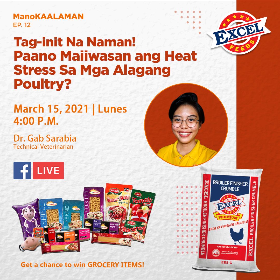 ExcelFeedsPh's tweet photo. Mga Ka-Excel, panahon na naman ng tag-init kaya naman abangan sa darating na LUNES si Doc Gab upang gabayan tayo sa tamang pag-aalaga sa ating poultry para IWAS HEAT STRESS at IWAS LUGI sa ating negosyo.
#ManoKAALAMAN #ExcelFeedsPh https://t.co/FQGW1hQnsA