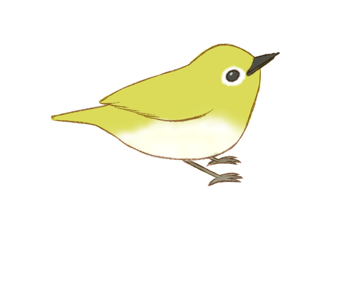 鳥のtwitterイラスト検索結果