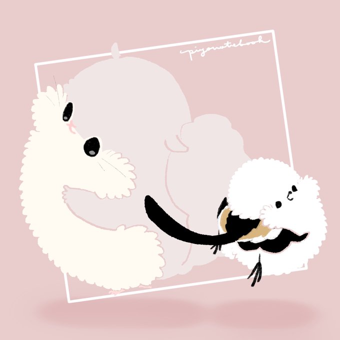 エゾモモンガちゃんとシマエナガのtwitterイラスト検索結果 エゾモモンガちゃんとシマエナガのtwitterイラスト検索結果