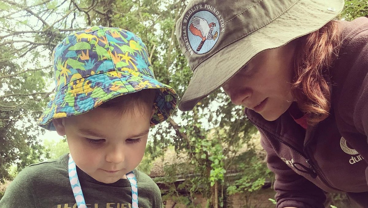 Fi Marchant is the Conservation Learning Manager based at @Jersey Zoo. 

Find out how Fi has faced the challenges of the past year having to go virtual, as well as her advice for anyone seeking a career in animal education. 👇  
durrell.org/blog/  

#IWD2021