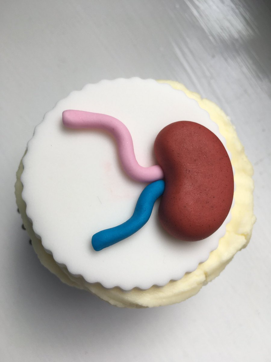⁦@worldkidneyday⁩ ⁦@kidneydayUK⁩ ⁦@TeamNUH⁩ ⁦@TeamRenal⁩ ⁦@RavinderSagoo⁩ delicious cup cake to celebrate kidney day. Remember to look after your health and kidneys