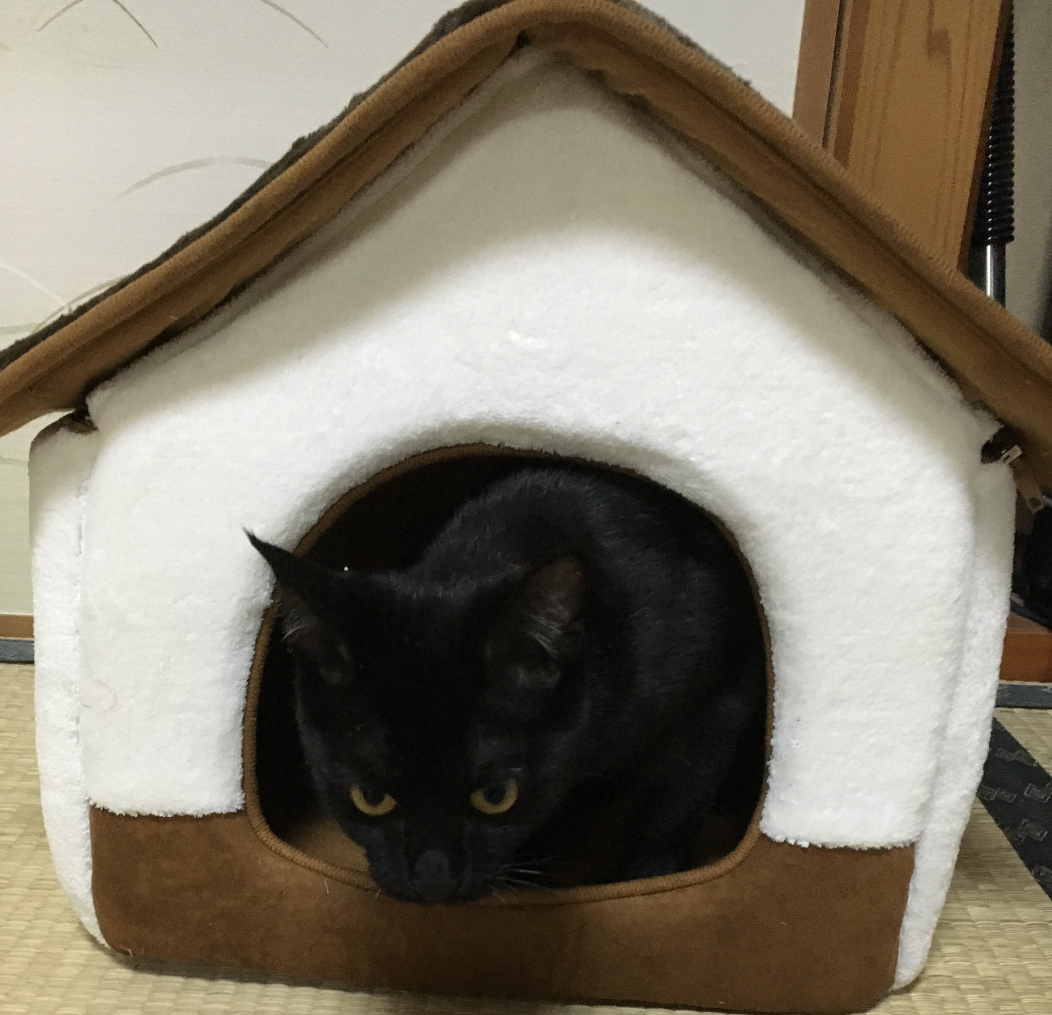 今日もお疲れ様でございました - Search / X