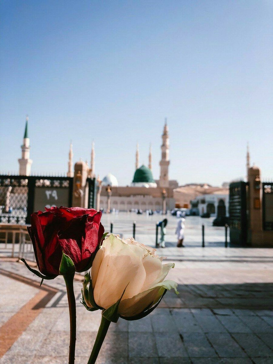 Ati0120's tweet image. سعدی اگر عاشقی‌کنی‌ و جوانی
عِشق محمد بس‌است و آل‌‌محمد...💚🌸♥️
#MohammadForAll