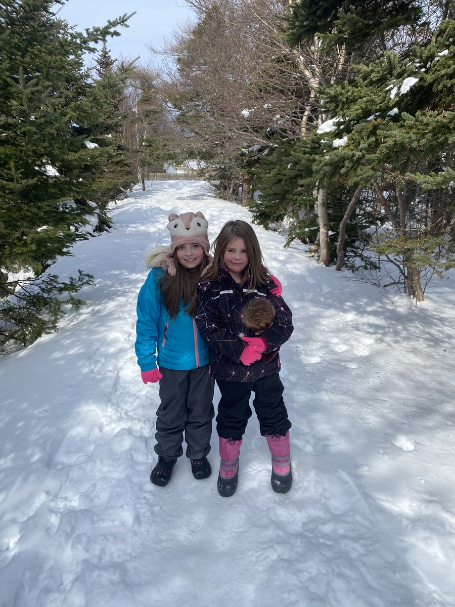 StMattsTigers's tweet photo. Isn't nature just amazing? We love to see our Tigers exploring their back-yards, front-yards, ponds, forests and wide open snow-filled winter spaces! ❄️🐯
#wintermoves #comeonwegoes #dartoutdoorsinthesnowbank
@SchoolHealthNL @schoolsportsnl @NLESDCA https://t.co/0KSGPtTgpZ