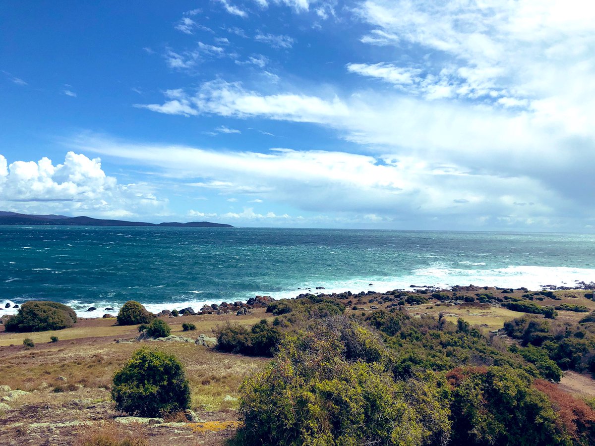 Mooselet's tweet photo. When anxious, uneasy and bad thoughts come, I go to the sea, and the sea drowns them out with its great wide sounds, cleanses me with its noise and imposes a rhythm upon everything in me that is bewildered and confused.
~ Rainer Maria Rilke https://t.co/bFEbUBQfBV