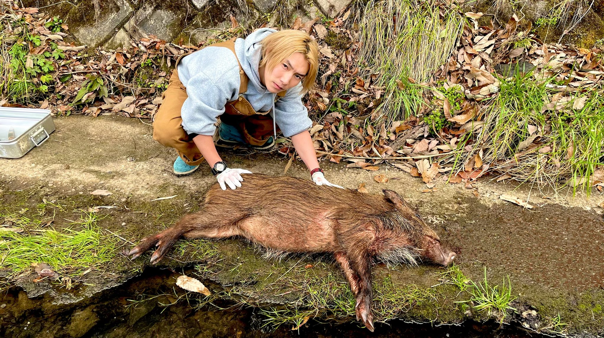 ジョーブログ 山に居る野生のイノシシを捕まえて焼いて食べてみたら T Co Hd8jmysqhh スーパーとか全部 切り身の状態で売られてるけど旨い肉食えるってことはこういうこと 俺らが生きれてるんはこういうこと 命のリアルを見て欲しい