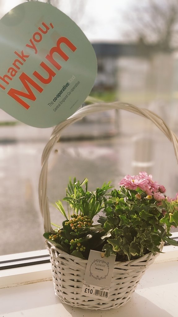 Maggie Meah tweet media