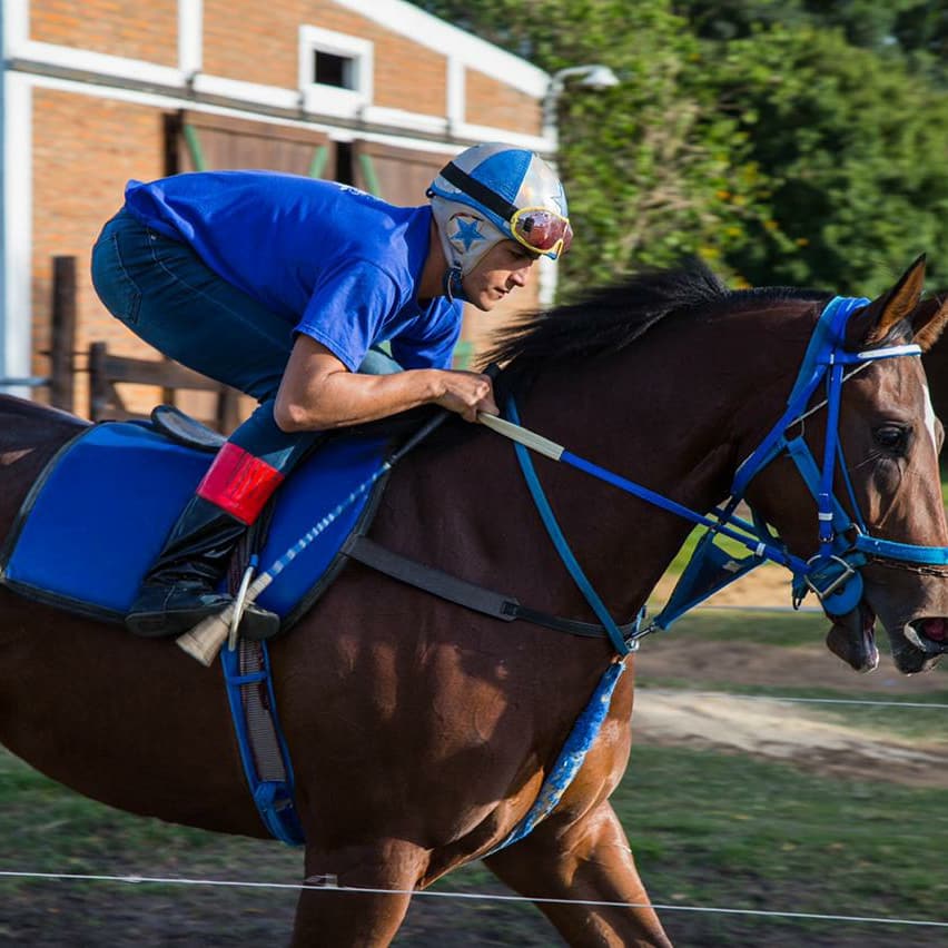 👉Haras.vz👈
▪️Criadero de Caballos, Cuarto de Milla de carrera 
▪️Biotecnologías aplicadas a la reproducción.
▪️Compromiso con la mejor crianza del potrillo.
▪️Apostando siempre a lograr y alcanzar la mejor genética en el país.
📍San Cayetano - Corrientes Capital.
📞 3794-407865