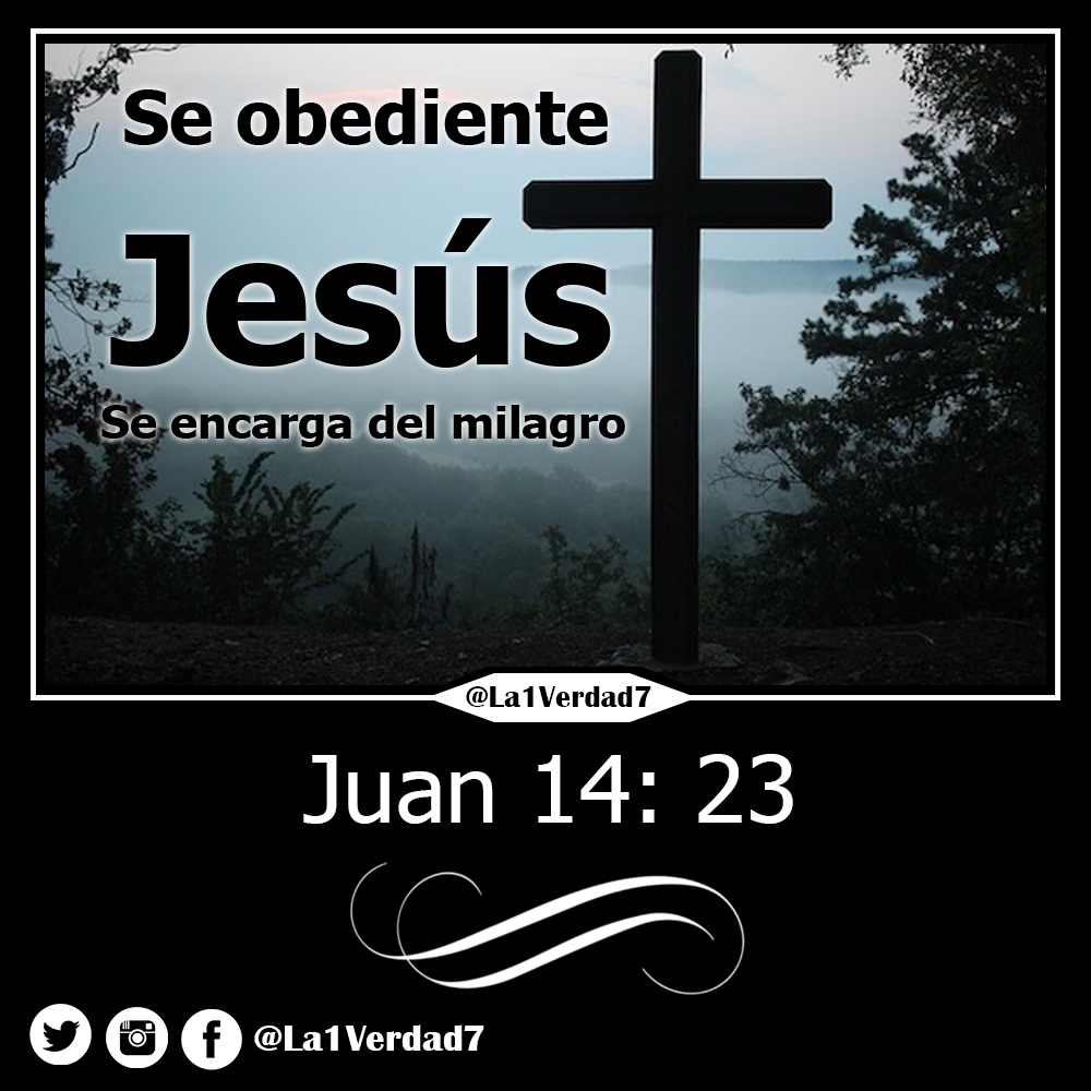 la1verdad7's tweet photo. Nuestra parte es #obedecer a #Dios
#Bendiciones de parte de #Jesus
#FelizJueves 
#Frases #Frasescristianas #EvangelioDelDia https://t.co/amK8mW7T5m