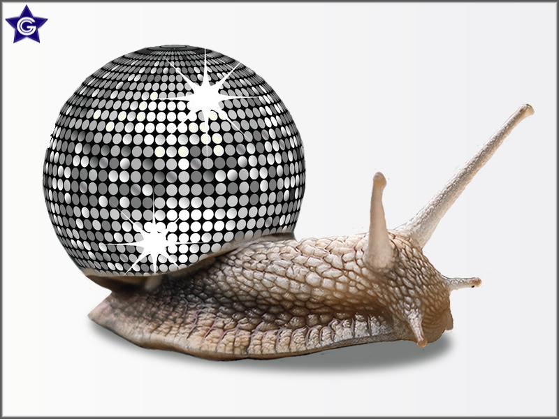 Disco Snail.🤩

#graphicgratification #fanatsyart #conceptart #creativelife #creativeart #design #artist #graphicdesign #bestvisualz #artwork #adobephotoshop #imaginativeuniverse #surreal #creative #manipulationclan #snail #disco #party #ball #glamour #animal #doubleexposure #art