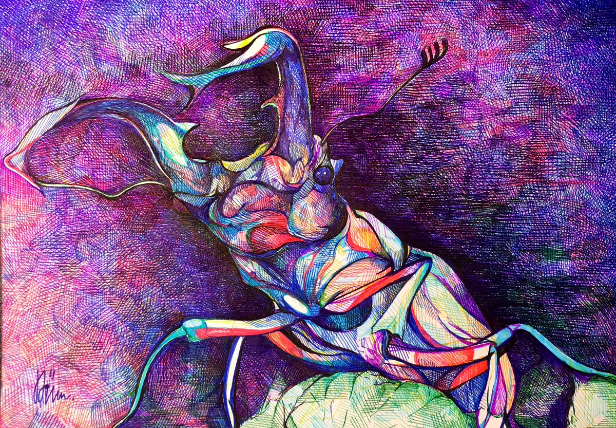 カバさん描きました 大きく口を開けた時の迫力がすごい ボールペン画 けんしん 8月 22日展示のイラスト
