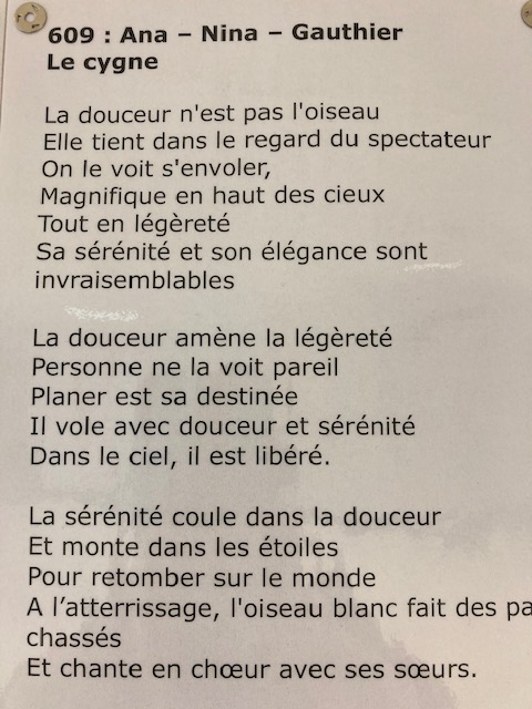 Collège P. Labitrie tweet media