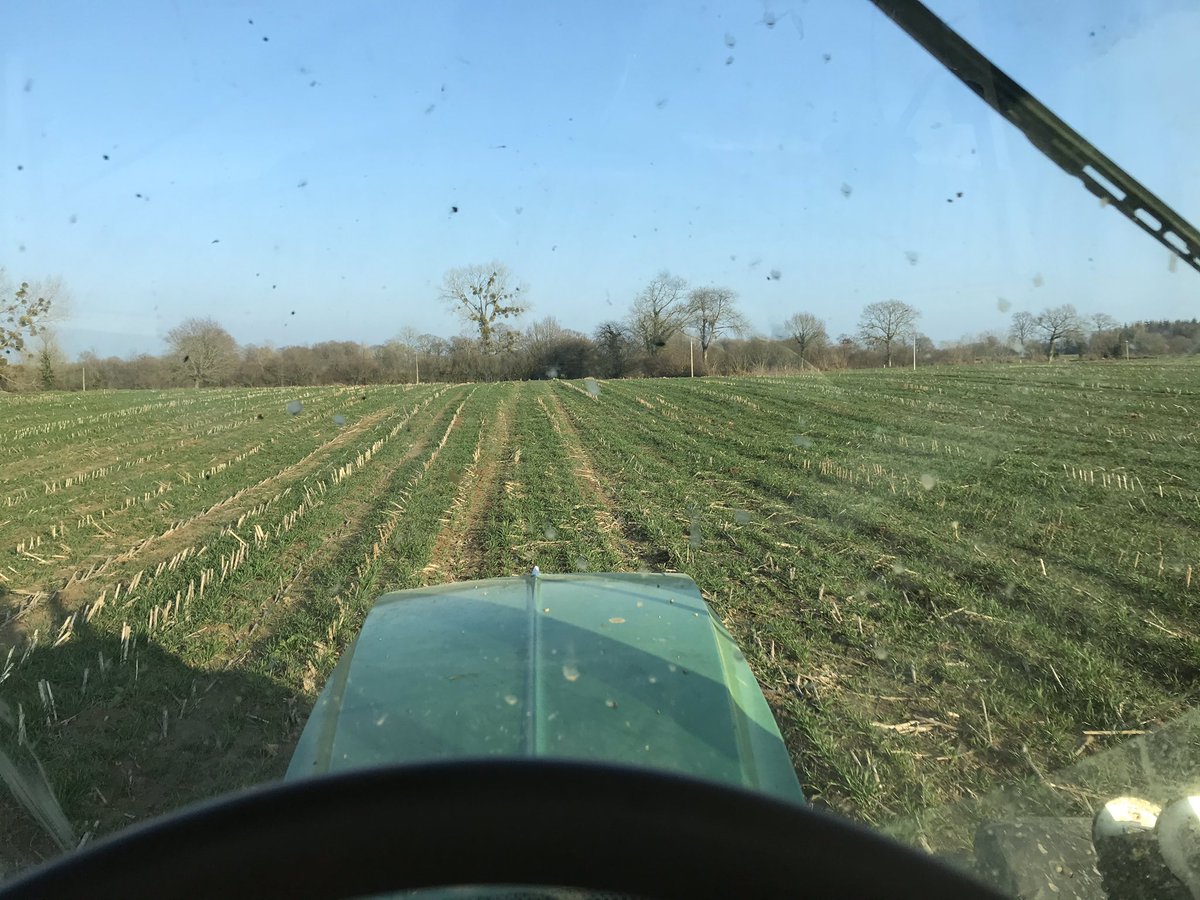 ThibautGiraud1's tweet photo. La pluie 🌧 de la journée et la douceur retrouvée devrait faire agir l’engrais azoté et les engrais de fond apportés ces derniers temps sur les #cereales 🌾 et sur l’herbe .#semidirect #ceuxquifont https://t.co/DnEPfP3Vo3