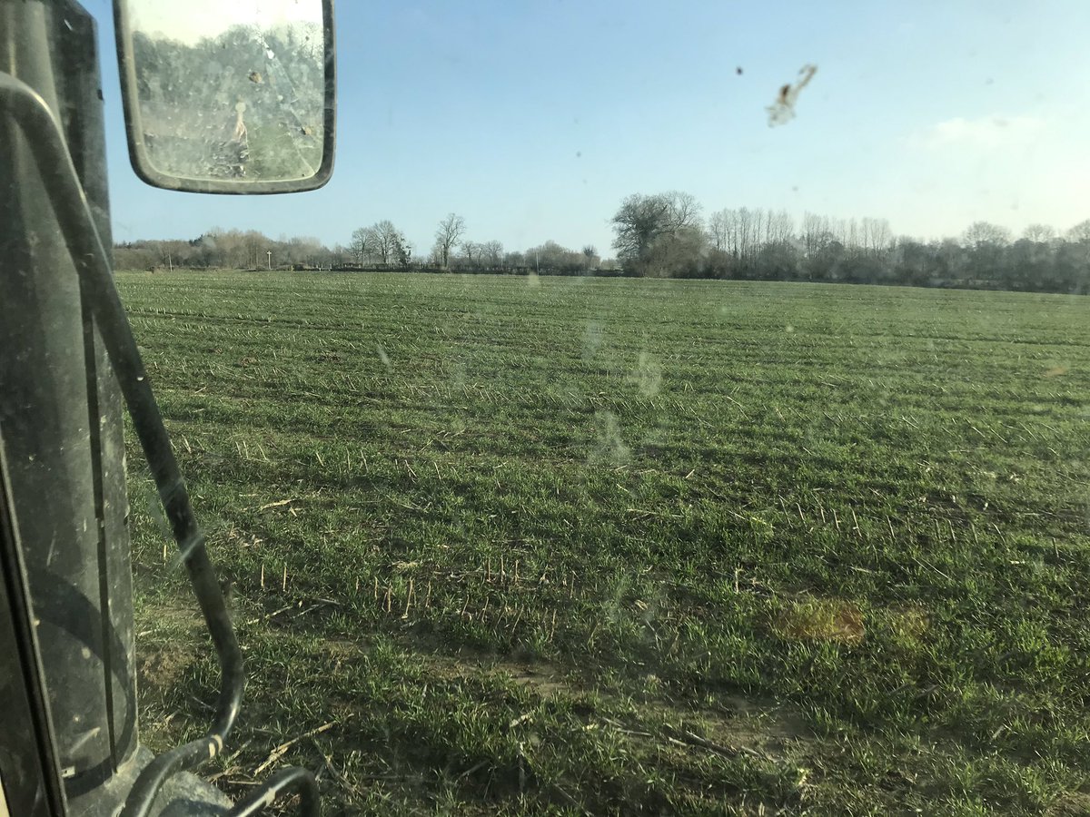 ThibautGiraud1's tweet photo. La pluie 🌧 de la journée et la douceur retrouvée devrait faire agir l’engrais azoté et les engrais de fond apportés ces derniers temps sur les #cereales 🌾 et sur l’herbe .#semidirect #ceuxquifont https://t.co/DnEPfP3Vo3