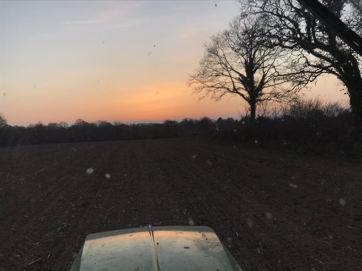 ThibautGiraud1's tweet photo. La pluie 🌧 de la journée et la douceur retrouvée devrait faire agir l’engrais azoté et les engrais de fond apportés ces derniers temps sur les #cereales 🌾 et sur l’herbe .#semidirect #ceuxquifont https://t.co/DnEPfP3Vo3
