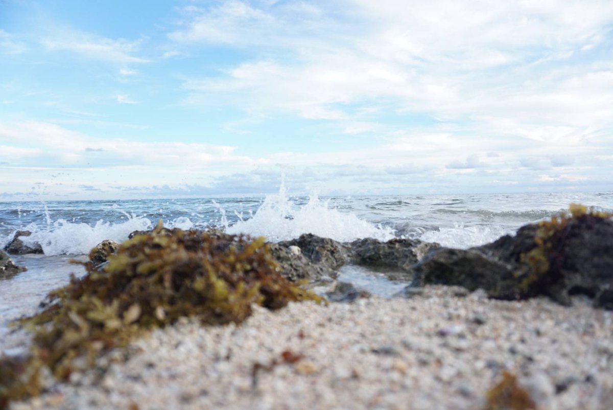 車で走っていても、港からの潮風を感じることが出来る地元！

潮の少ししょっぱくて、クセになる香りは、まさに｢石垣島の香り｣と言っても過言ではない！

石垣島の香り。皆さんも体感しに来てください！

#石垣島 #石垣島地元民 #海 #写真 #ビーチ