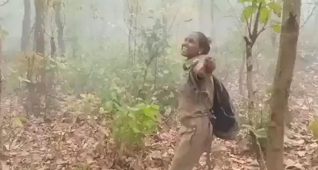 down2earthindia's tweet photo. Rain in parts of burning Similipal forest brings temporary relief
https://t.co/J4EpRsGSDB
#SimilipalRain #SimilipalForestFire https://t.co/XogcovEHVO