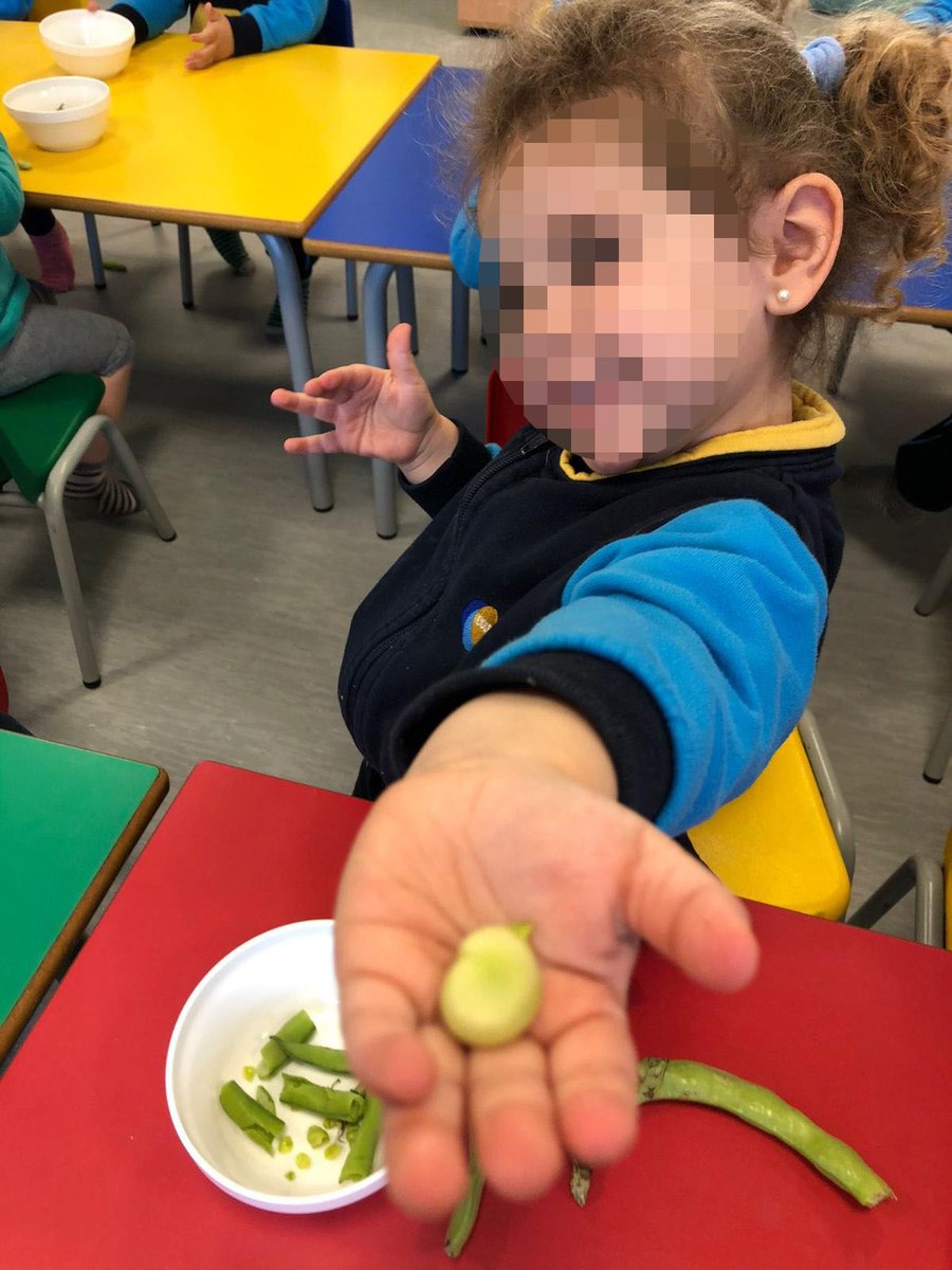 Aprenden a través de la experiencia.

Los alumnos de 2 Años adquieren de manera vivencial, habilidades manipulativas ejercitando la motricidad fina y practicando el conteo.

#LearnByDoing #MetodologíasActivas #EducaciónInfantil