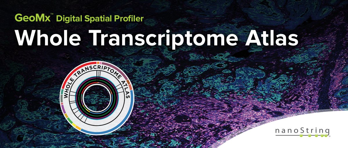 brukerspatial's tweet photo. Starting NOW!  See how you can rapidly and quantitatively characterize #tissuemorphology with a #highthroughput, #highplex #RNA #profiling system that preserves samples for future analyses. Want to know how that works? Join us here https://t.co/JVyqQGKRbW https://t.co/ohKaVrQOLB