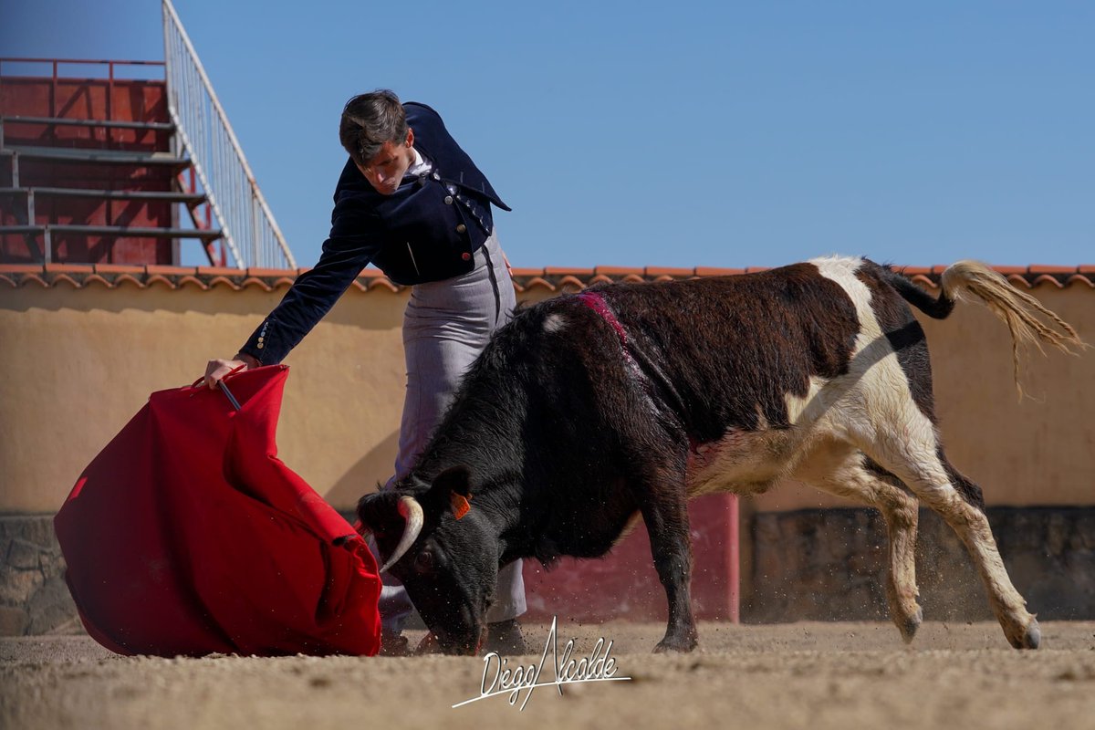 HTaurina's tweet photo. En la casa de @victorinotoros todo es especial. Gracias ganadero 🤟 📸 @DIEGOALCALDE1 https://t.co/nyWMWTITHp