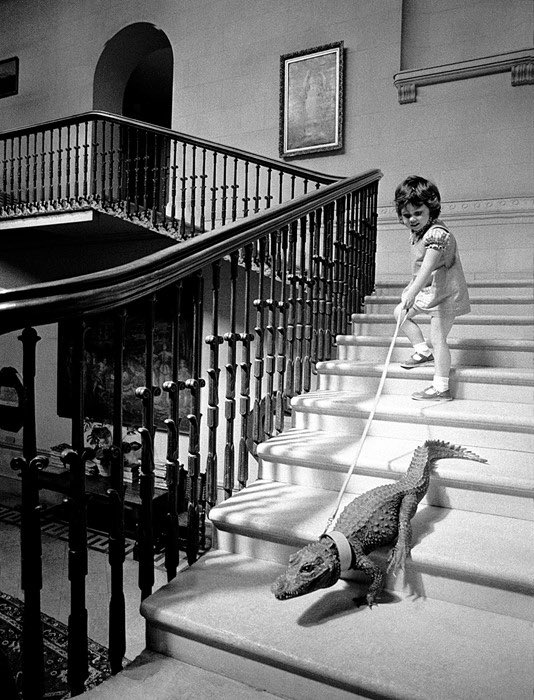 SP_inworld's tweet photo. John Drysdale
My Greatest Friend 
From Our Peaceable Kingdom book 

1-My Greatest Friend 1986
2-Footloose 1978
3-Descending a Staircase 1976
4-Thursday 1989

#JohnDrysdale #streetphotography https://t.co/5RHTxySCO0