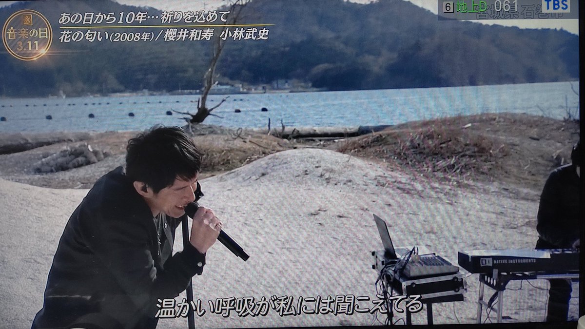 保存版 Shareef Studious 音楽の日 ミスチル 桜井着 メーカー希望小売価格から30 Off Mahatmaacademy Com