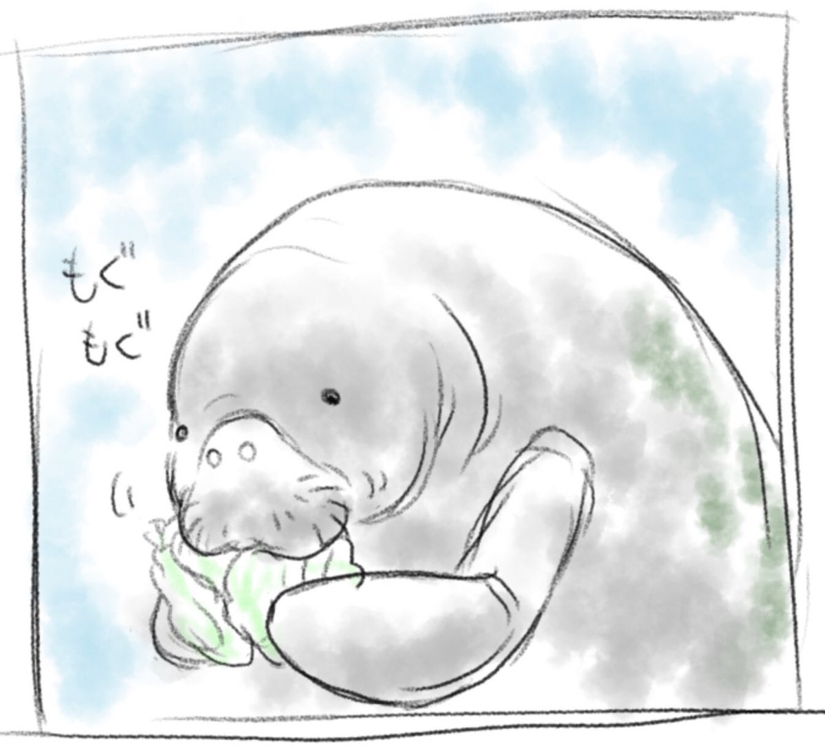 うみいろ カットイラストのラフです マナティーもジュゴンもどちらも 愛らしい姿だなあと思いながら描きました お申し込みは明日17 00までです T Co Vyapsoyhmt 海牛祭り