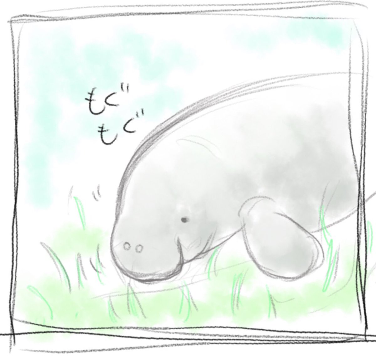 うみいろ カットイラストのラフです マナティーもジュゴンもどちらも 愛らしい姿だなあと思いながら描きました お申し込みは明日17 00までです T Co Vyapsoyhmt 海牛祭り